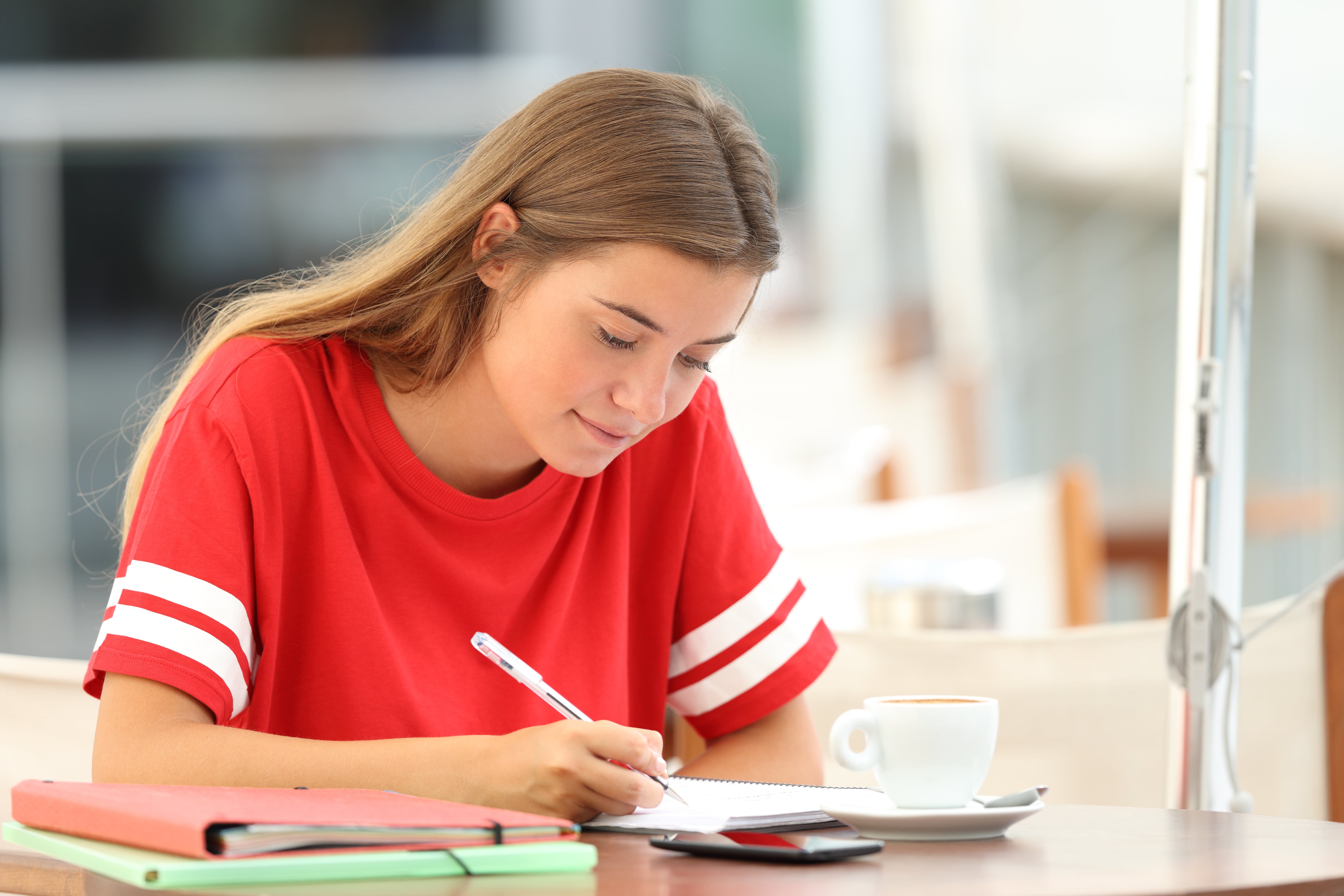 essay writing for high school students
