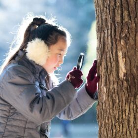 Winter Learning Topics for Elementary Students